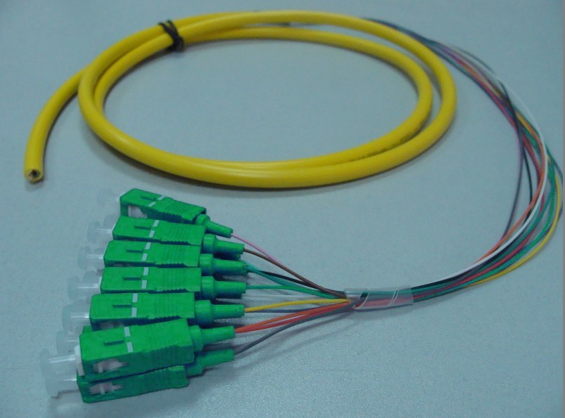 ribbon 12 cores SC/APC Fiber Optic Pigtail